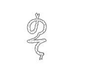 n-logo.jpg